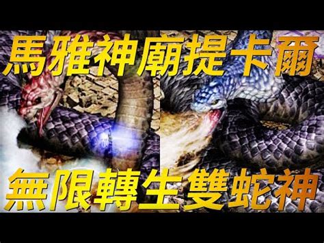 蛇之地形 神魔|【問題】這次地獄級的新盾牌的規則 @神魔之塔 哈啦板